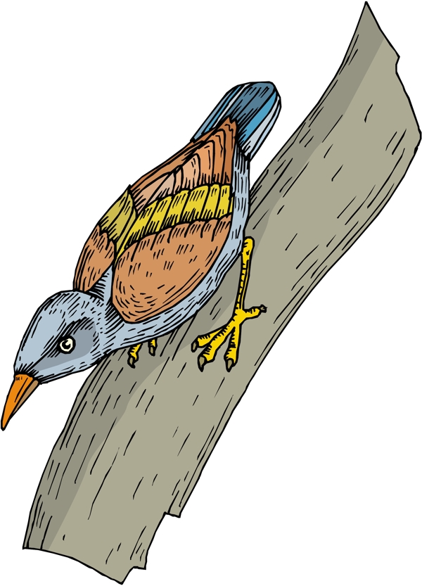 各種鳥類鳥動物矢量素材EPS格式0063