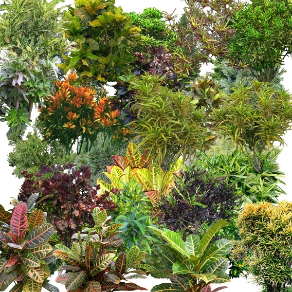 植物花卉分層素材
