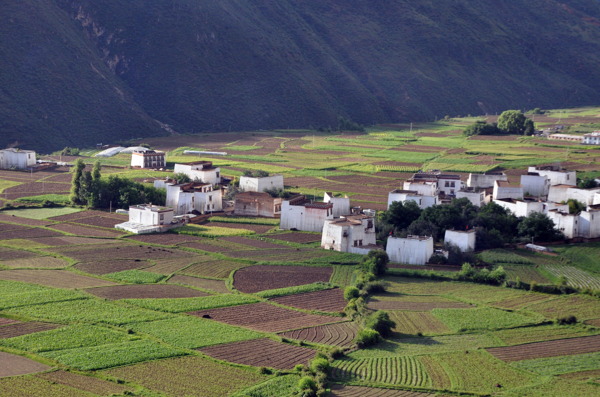 田園風(fēng)光圖片