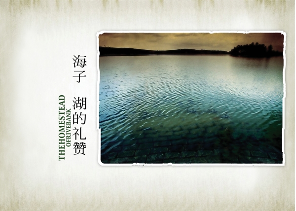 情深似海