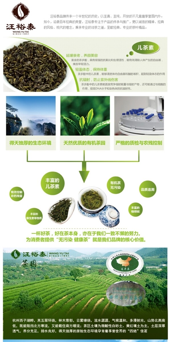 茶葉詳情頁