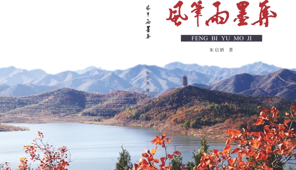 風(fēng)筆雨墨集畫冊設(shè)計(jì)