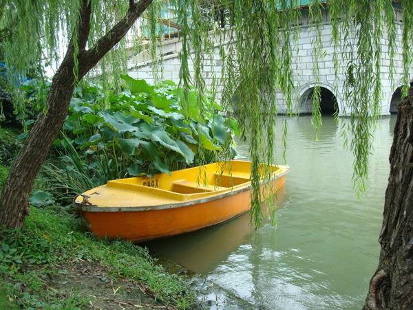 河边停靠的黄色小木船在垂柳下