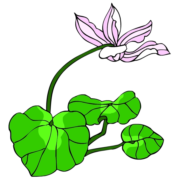 花卉古典插畫