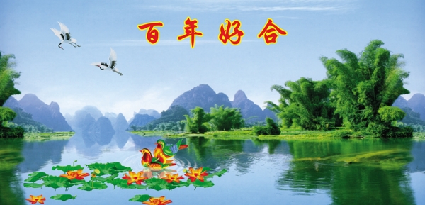 百年好合圖片
