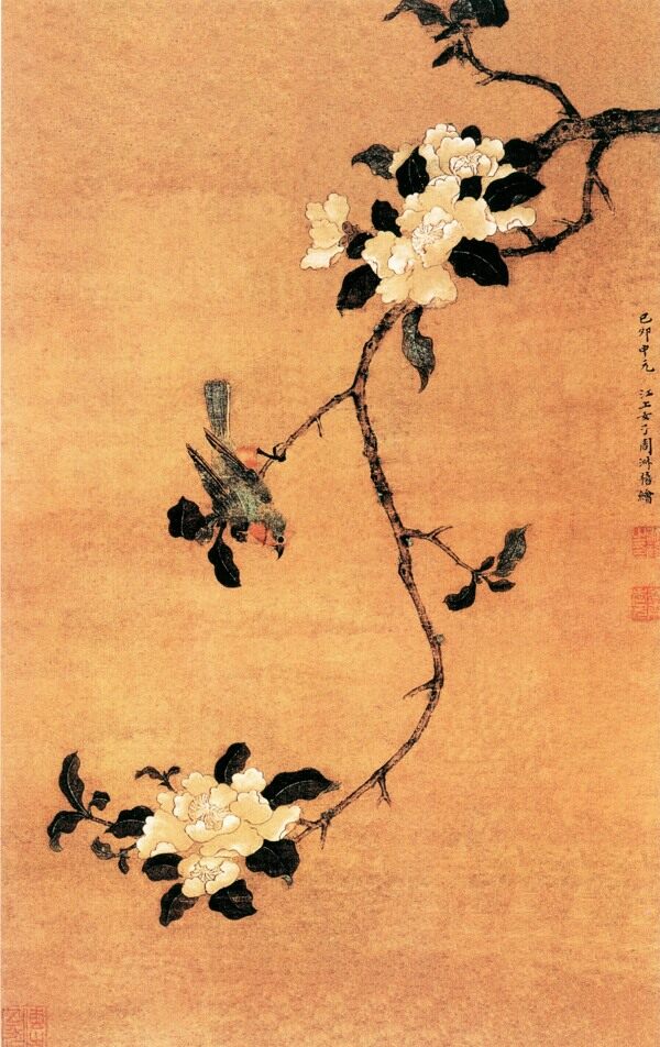 花鳥(niǎo)