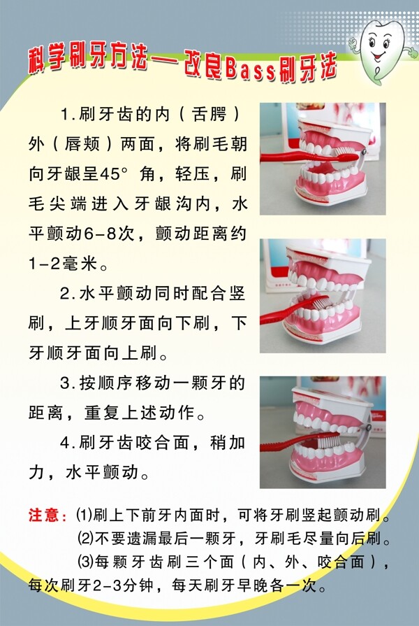 常见的口腔保健方法图片