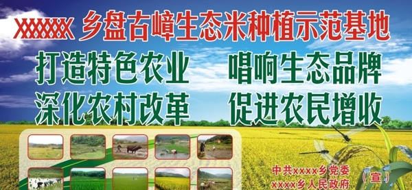 生态米种植示范基地图片
