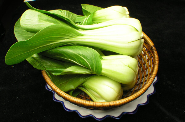 油菜