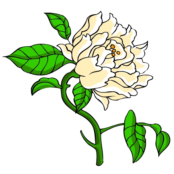 花卉古典插畫