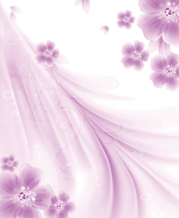 紫色花朵