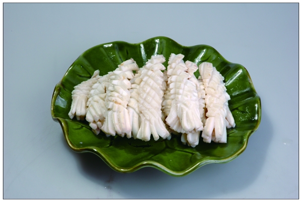鮮魷魚圖片