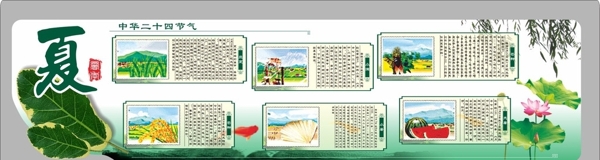 二十四節(jié)氣之夏圖片