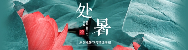 處暑清新文藝綠色荷花banner海報(bào)設(shè)計(jì)