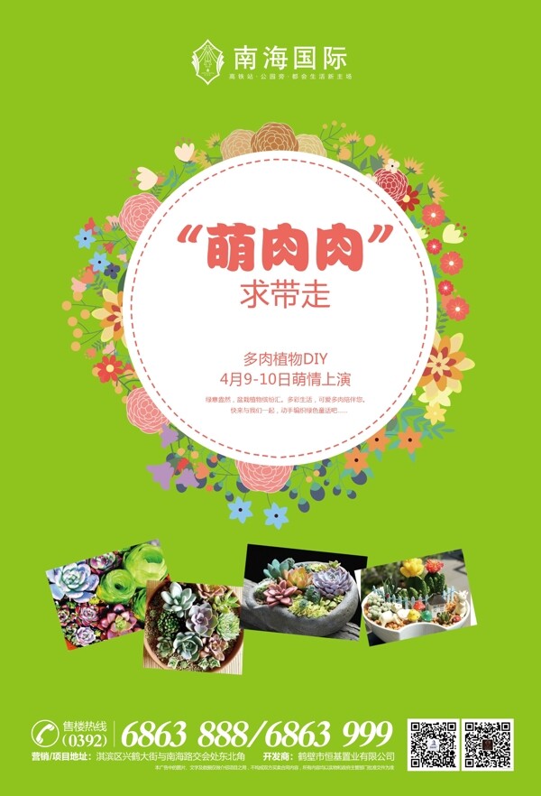 綠植DIY