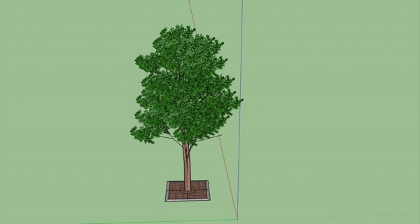 树SU模型图片