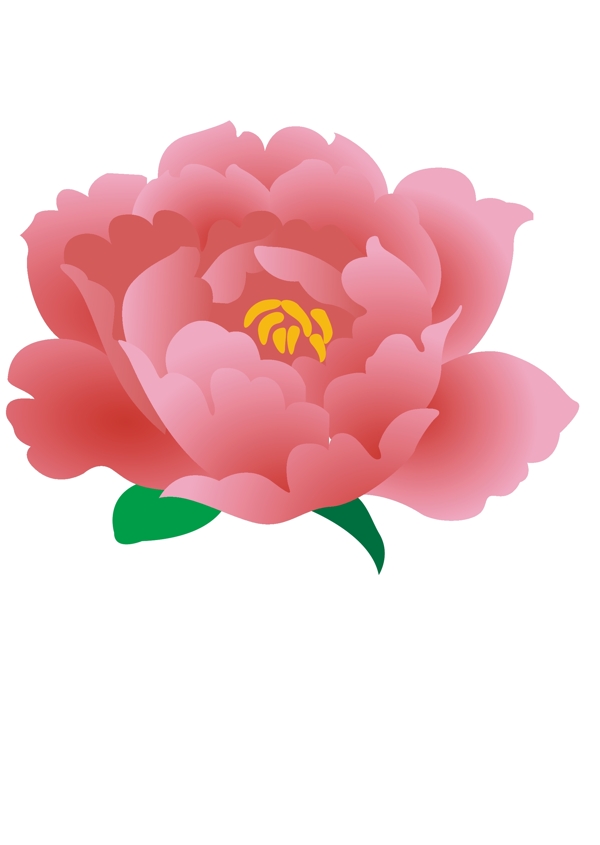 玫瑰花