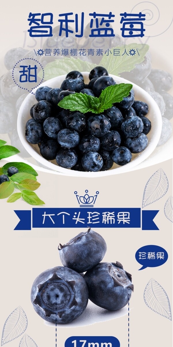 淘宝电商新鲜水果蓝莓详情页