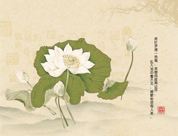 中国风莲花