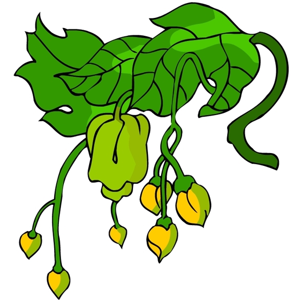 花卉古典插畫