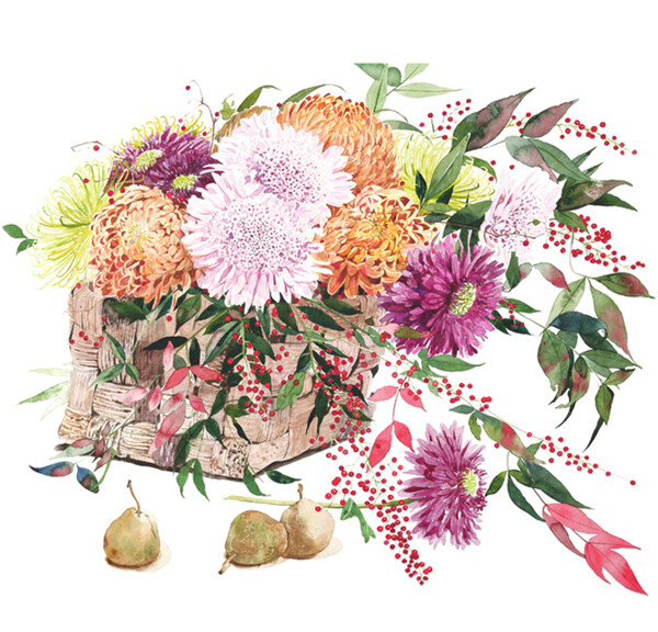 位圖植物插畫(huà)柘植彩子藝術(shù)效果水彩免費(fèi)素材