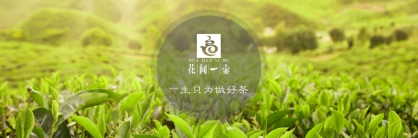 茶葉海報