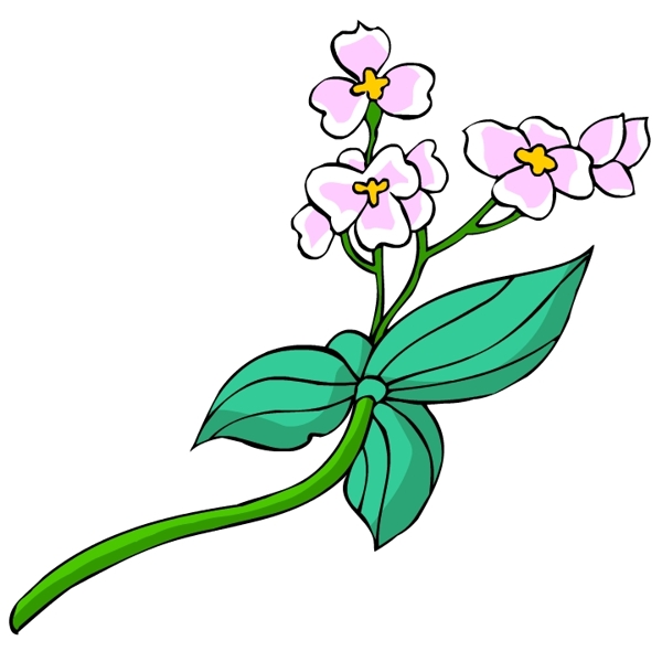 花卉古典插畫