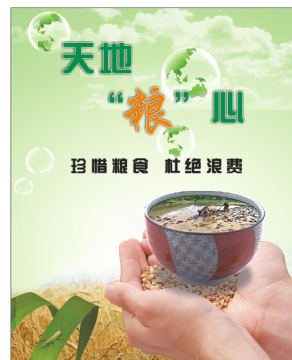 節(jié)約糧食圖片