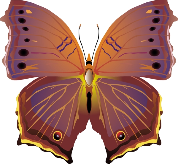 印花矢量图动物蝴蝶色彩红色免费素材