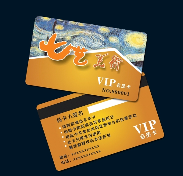 美術(shù)VIP卡