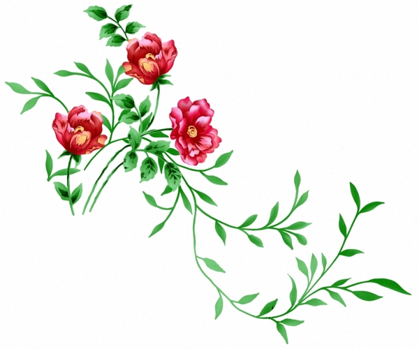 成熟優(yōu)雅女裝T恤圖案毛衫印花優(yōu)雅植物植物免費(fèi)素材