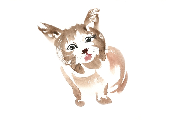 好奇的小猫水彩画PNG免抠素材