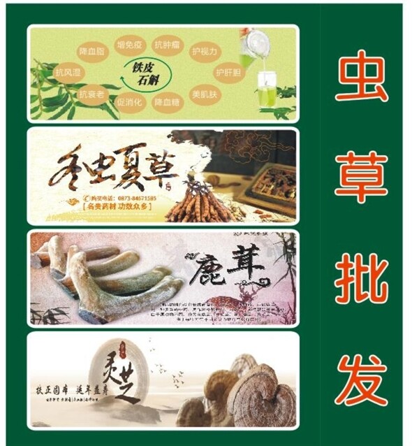 養(yǎng)生