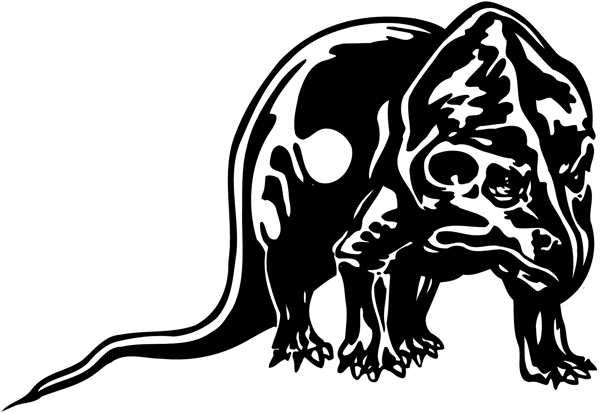 野生動物矢量素材eps格式0179
