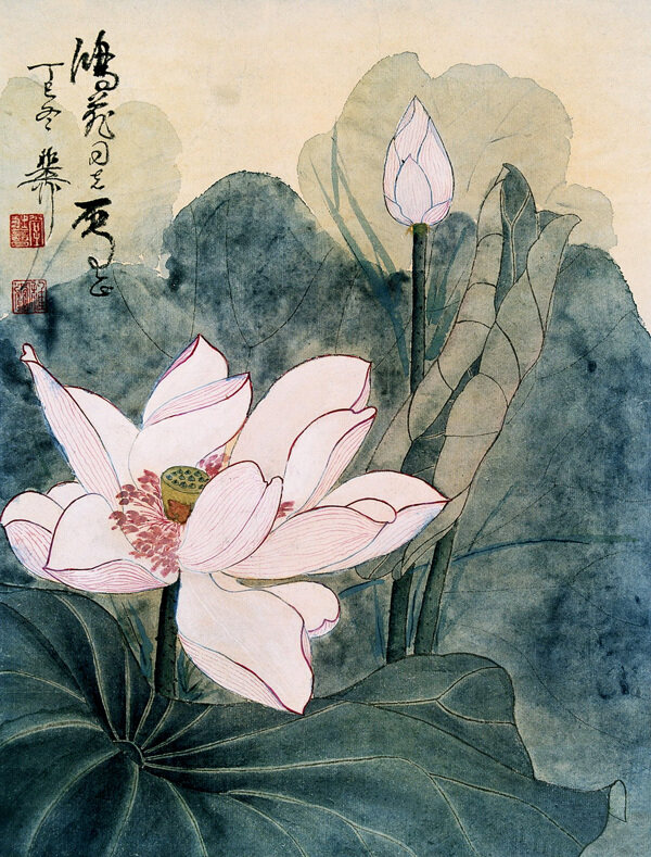 荷花畫(huà)圖片