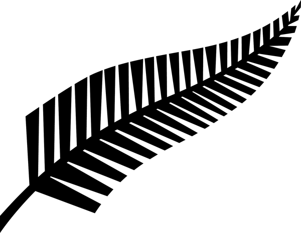新西兰橄榄球联盟的蕨类植物