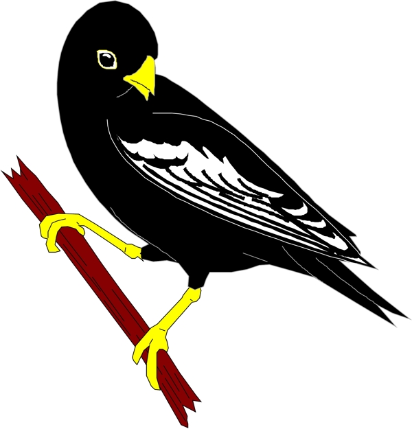矢量逼真鳥類動物59