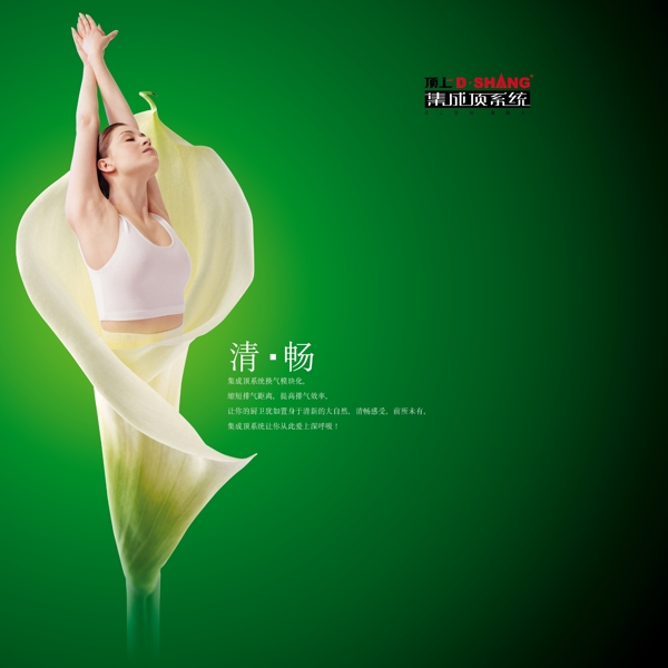 集成頂系統(tǒng)