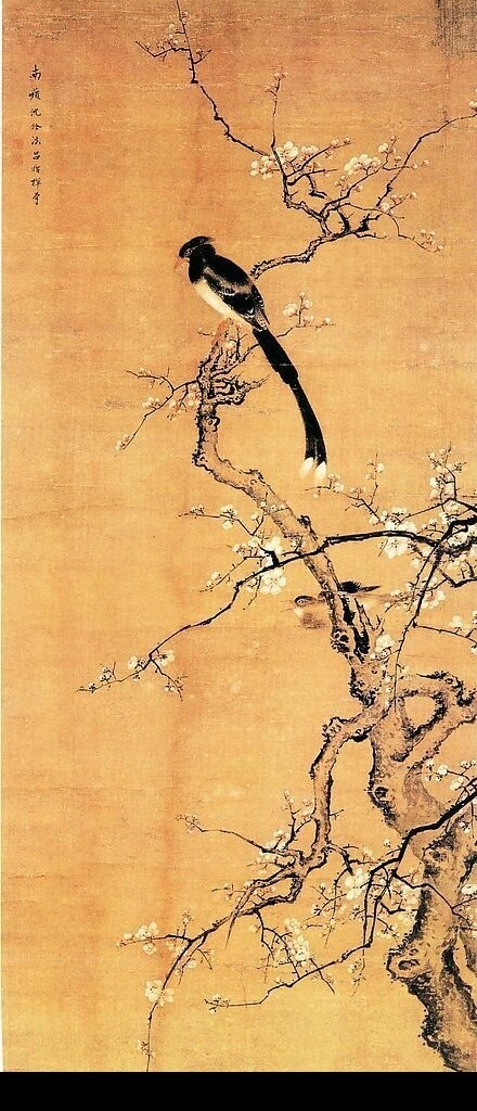 書法畫素材圖片