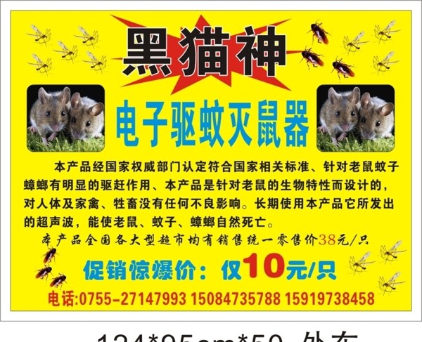黑貓神圖片