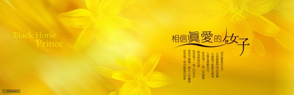 婚紗照相冊(cè)藝術(shù)照psd素材