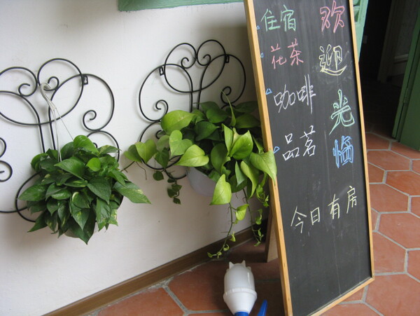 鼓浪嶼米米花園圖片