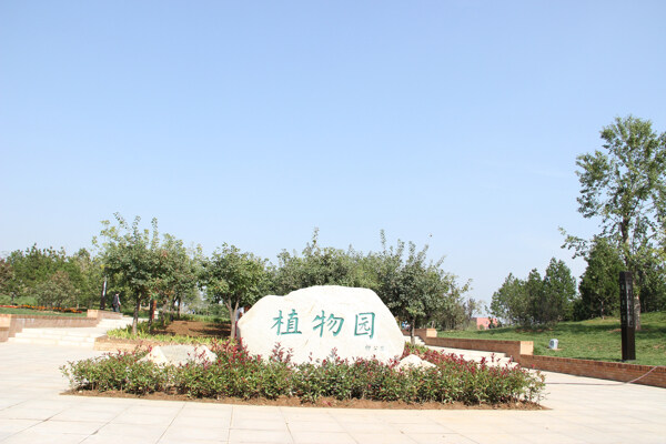 新區(qū)植物園圖片