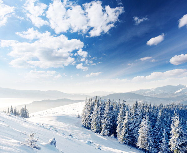 冬天雪景