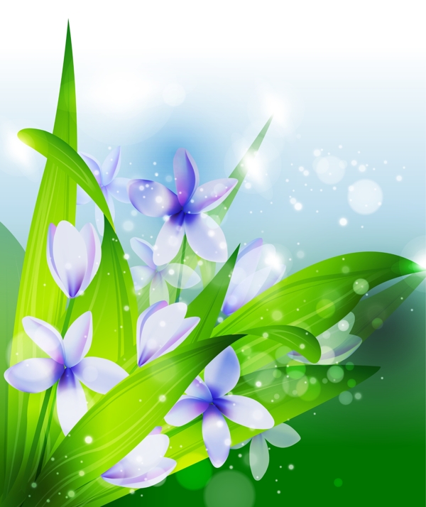 鮮花圖片