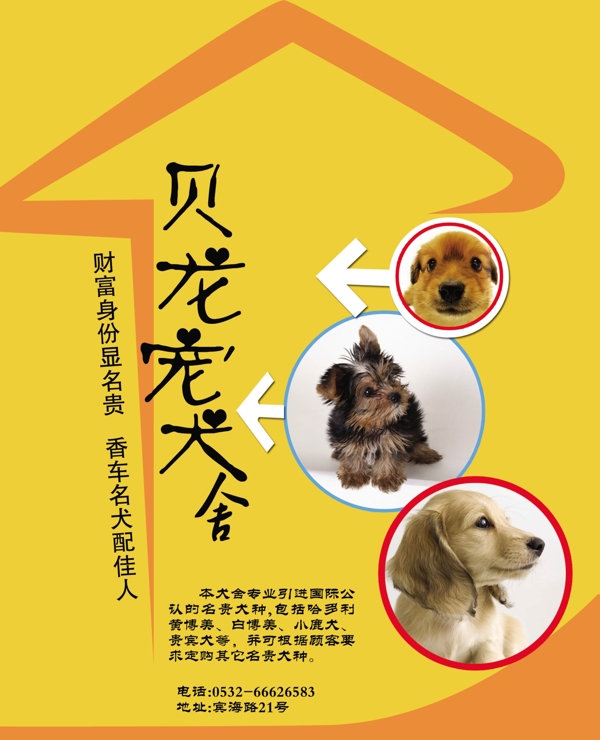寵物狗美容