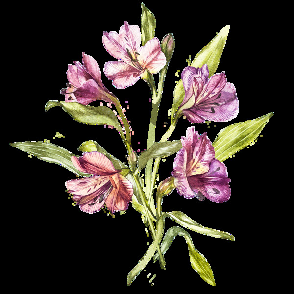 紫色手繪鮮花透明素材