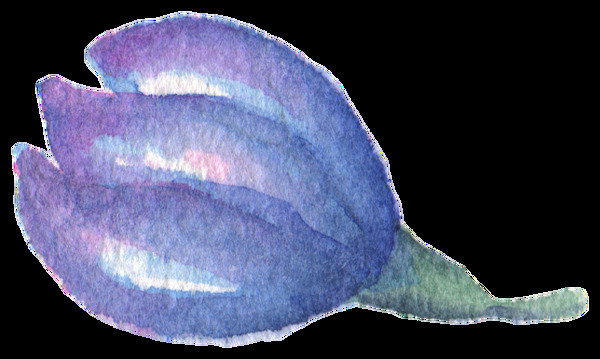 水藍(lán)花葉卡通水彩透明素材