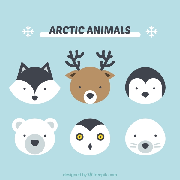 可爱的北极动物