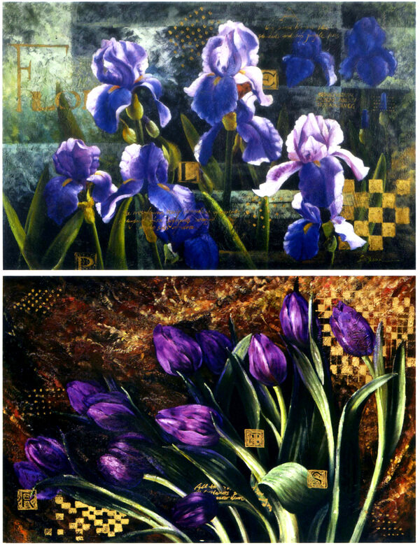 紫郁金图片